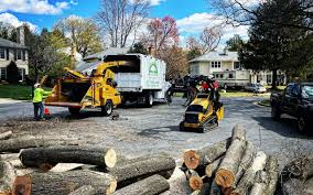 Best Seasonal Cleanup (Spring/Fall)  in Norwood, OK