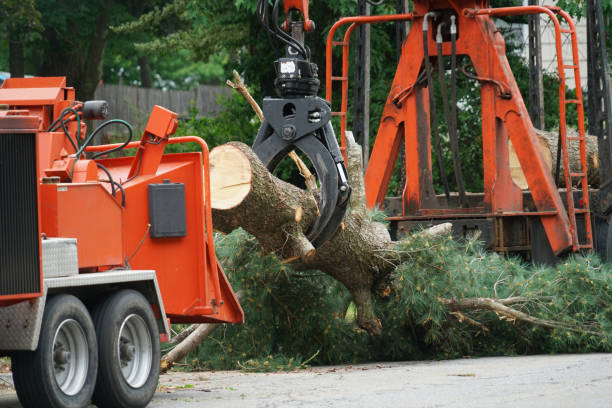 Best Firewood Processing and Delivery  in Norwood, OK